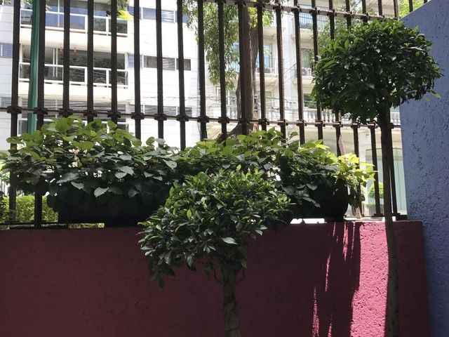 place photo 23