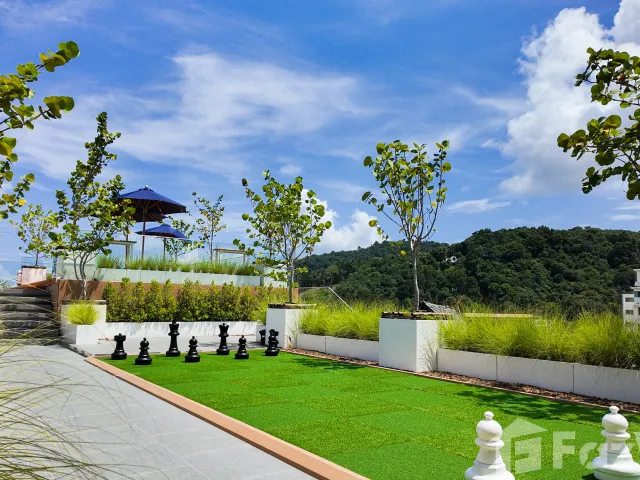 place photo 25