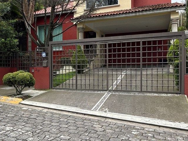 place photo 34