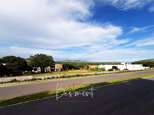 place photo 23