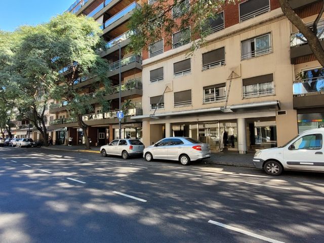 place photo 48