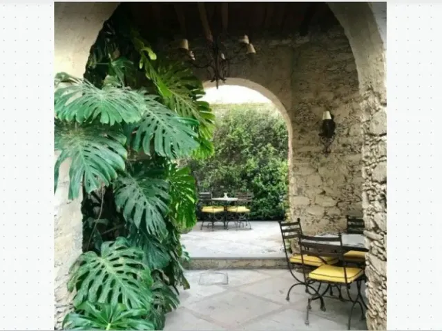 place photo 56