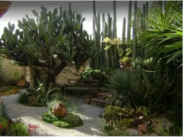 place photo 44