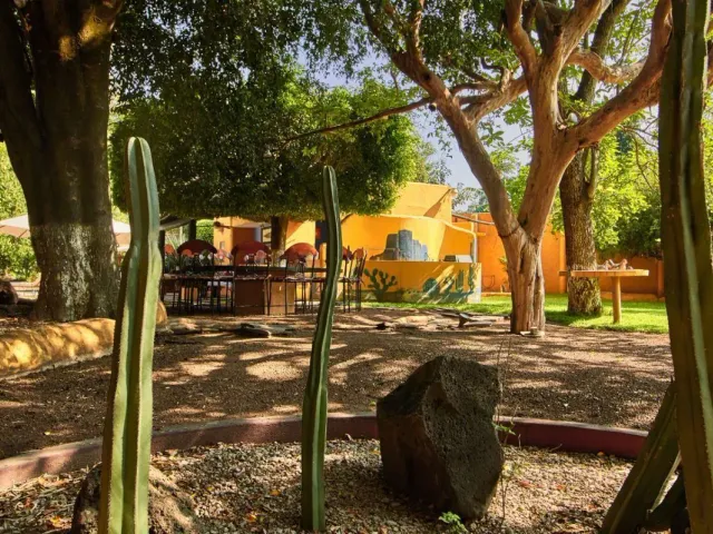 place photo 36
