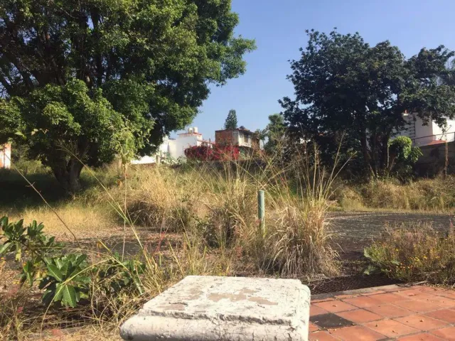 place photo 16