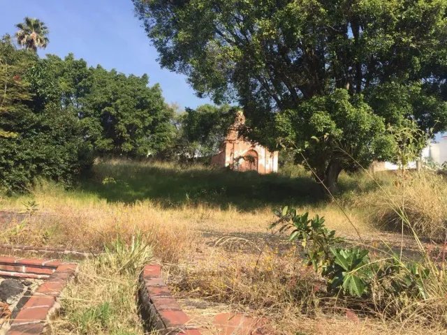 place photo 19