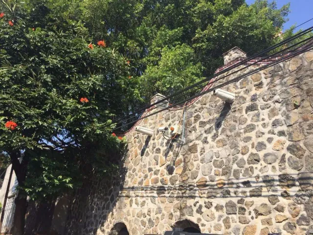 place photo 18