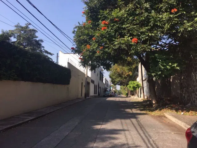 place photo 20