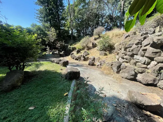 place photo 26