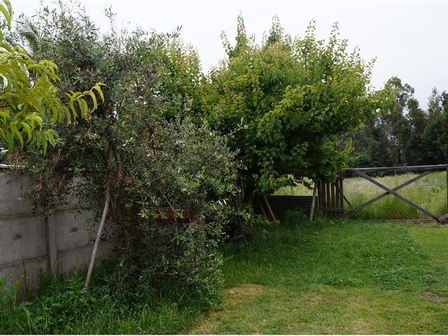 place photo 37