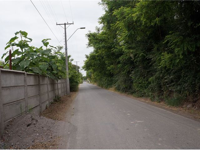 place photo 40