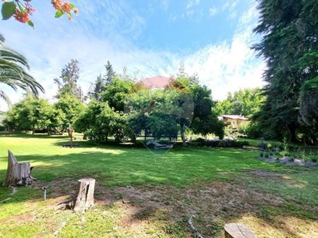 place photo 65