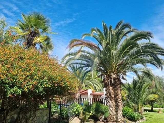 place photo 64