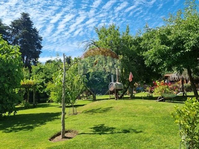 place photo 62