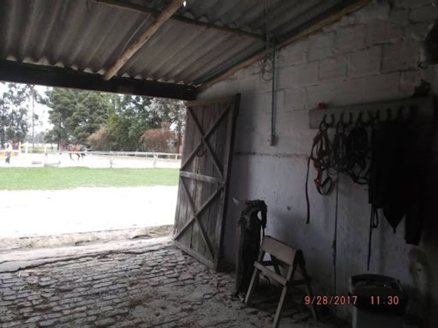 place photo 16