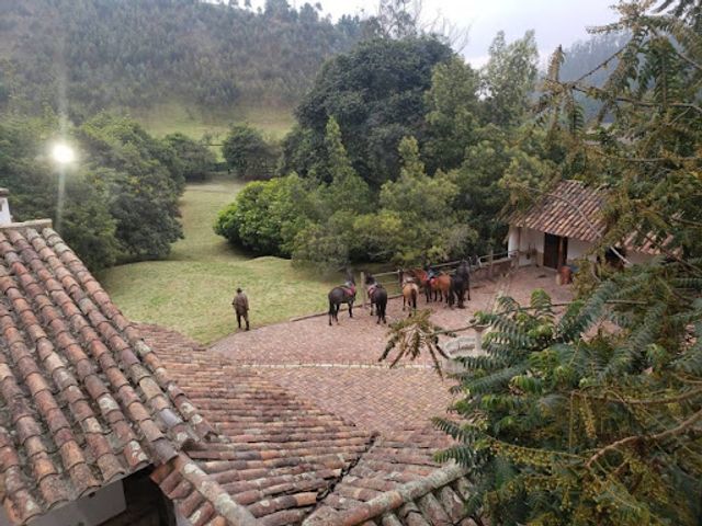 place photo 15