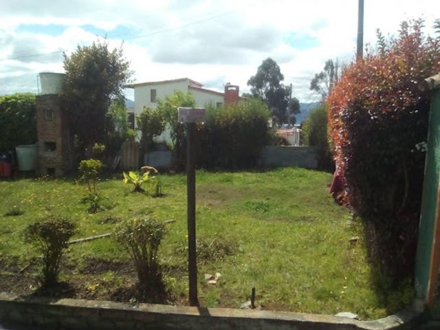 place photo 14