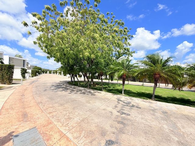 place photo 34