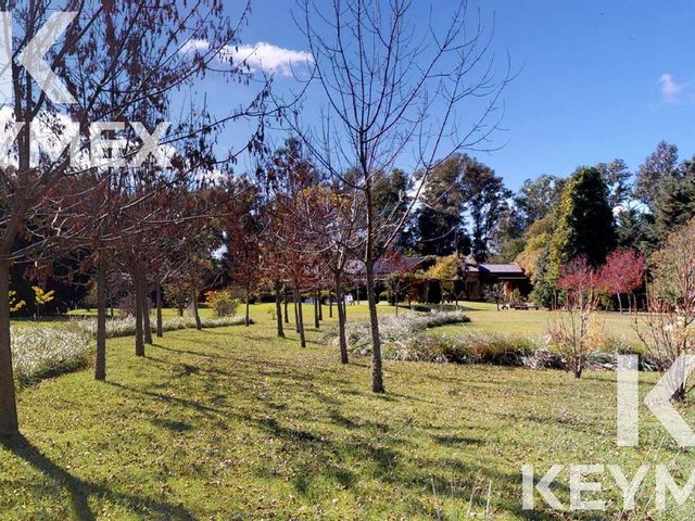 place photo 49