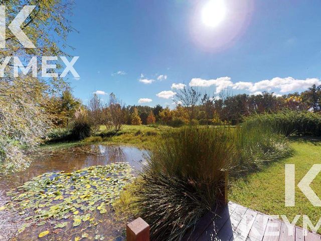 place photo 46