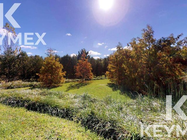 place photo 60