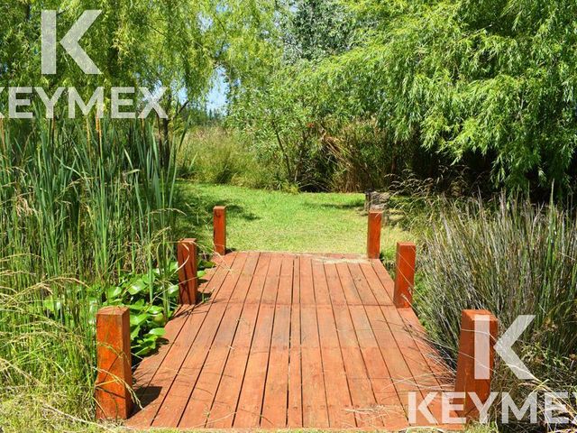 place photo 37
