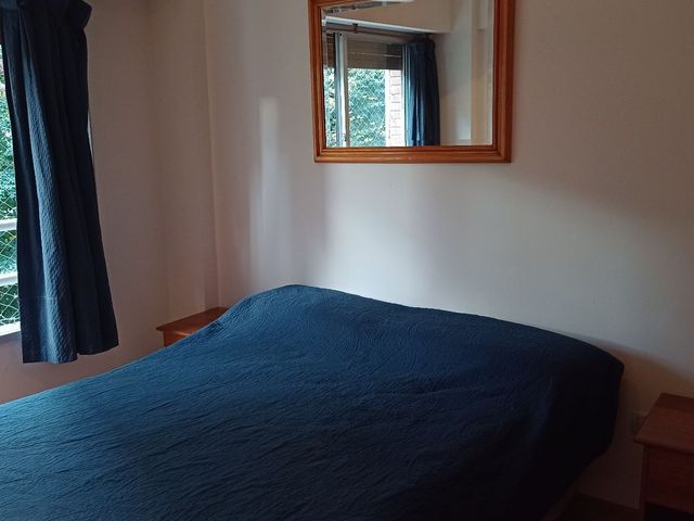 place photo 43