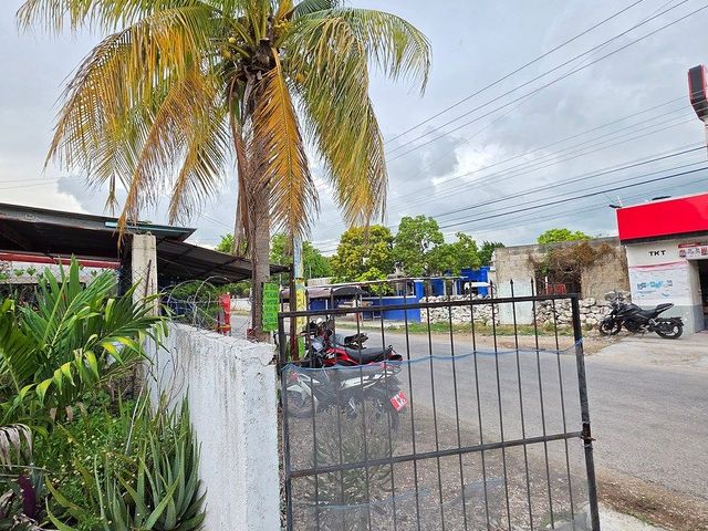 place photo 8