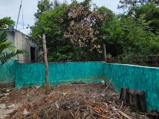 place photo 15