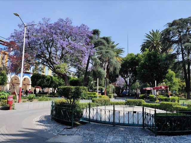 place photo 18