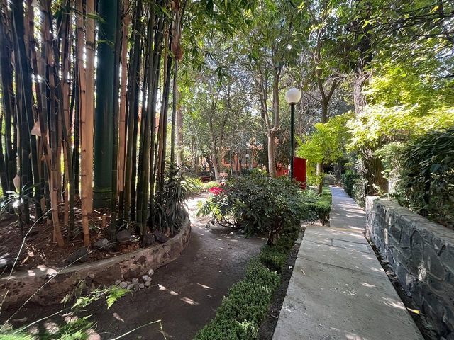 place photo 11