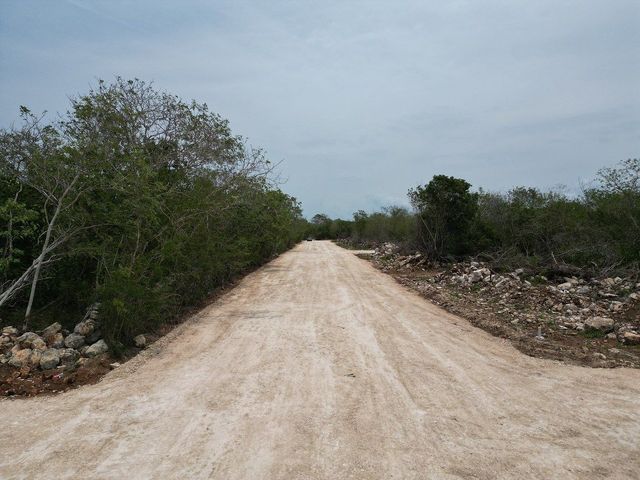 place photo 12