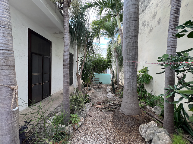 place photo 21