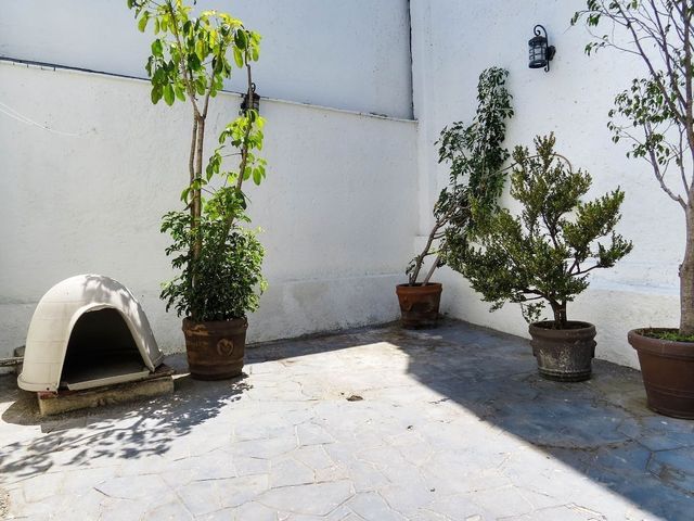 place photo 19