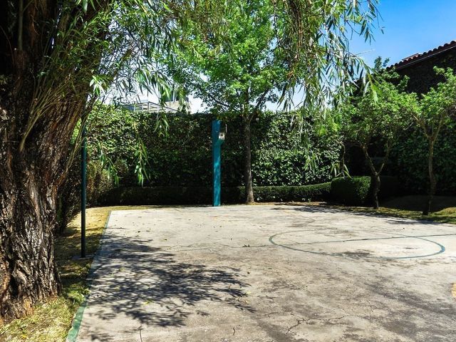 place photo 31