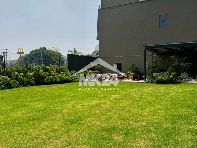 place photo 38