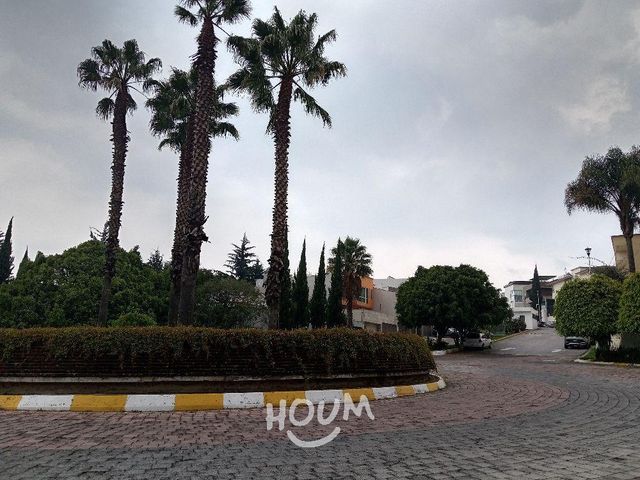 place photo 52