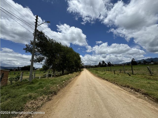 place photo 37