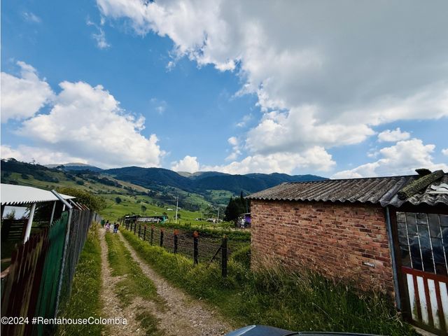 place photo 48