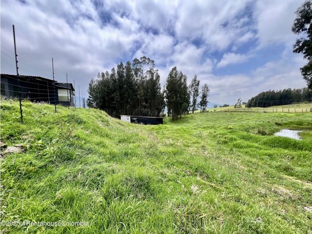 place photo 61