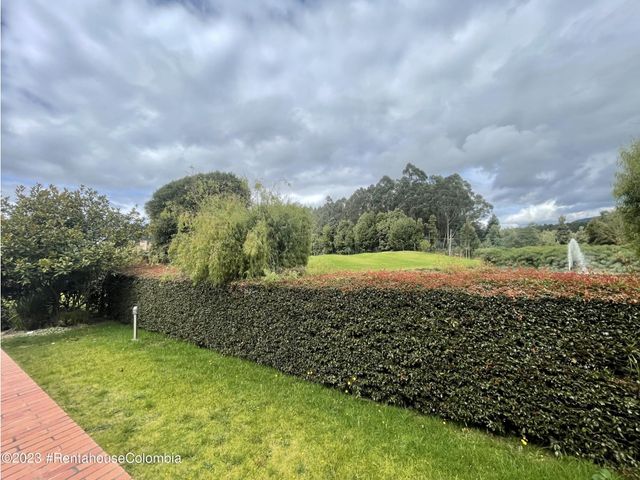 place photo 53