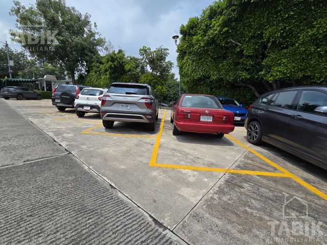 place photo 28