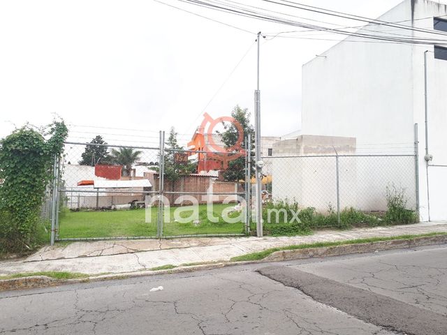 place photo 16