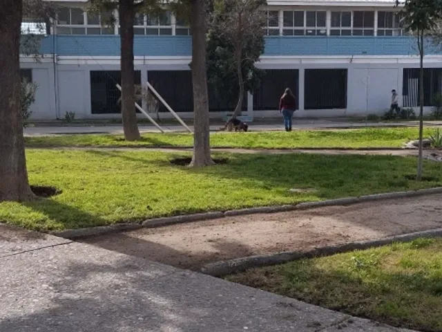 place photo 16