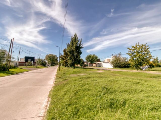 place photo 26