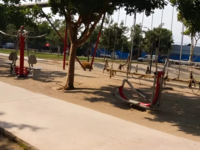 place photo 15