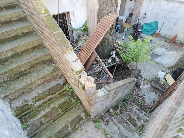place photo 31