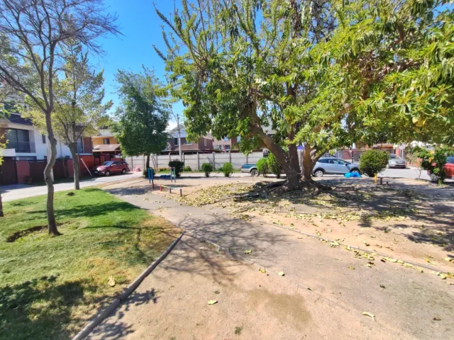 place photo 26