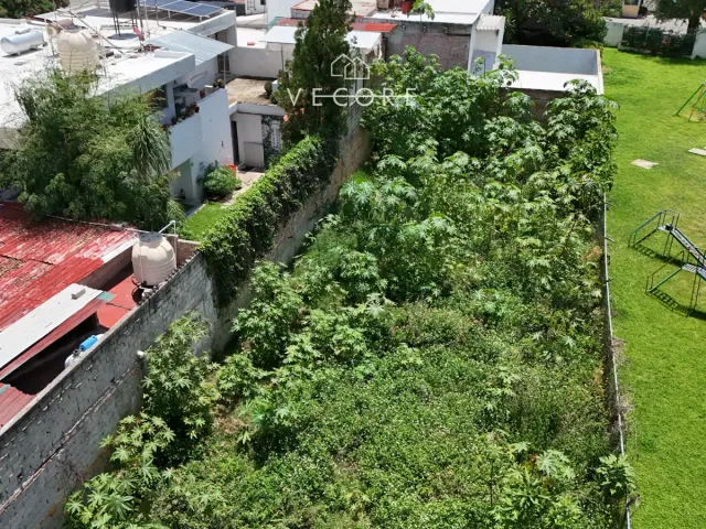 place photo 4