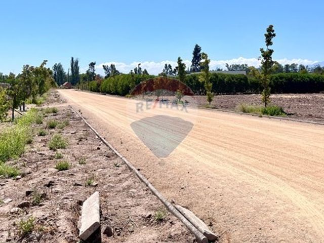 place photo 37